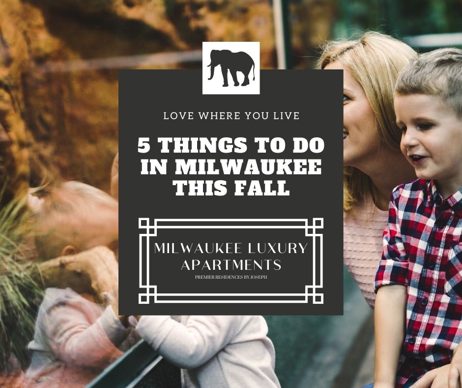 5 Things to do in Milwaukee This Fall Slide
