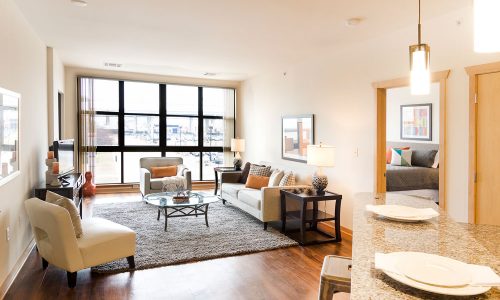 Jackson Square Living Room Large Window