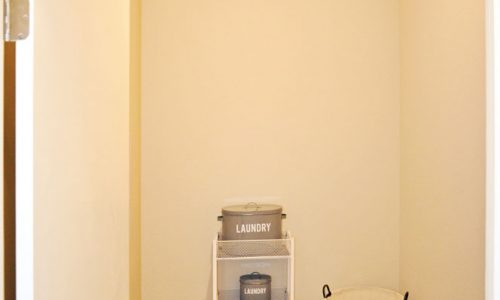 Greenbelt Closet Interior