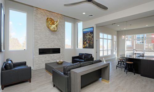 Greenbelt Fireplace Rhino at Daytime