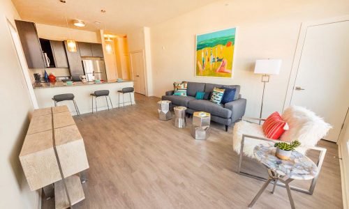 Living Room and Kitchen Over View