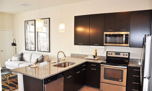 Fancy Dark Brown Cabinets Kitchen