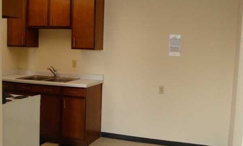 LakeSummit-2233-1br-lr-dr