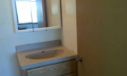 LakeSummit-2233-apt-702-bath