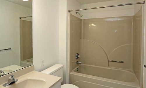 Shower Bath In Riverwalk Apartment