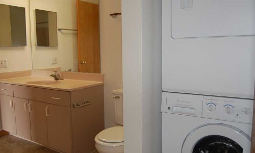 Bathroom with Washer Dryer Closet