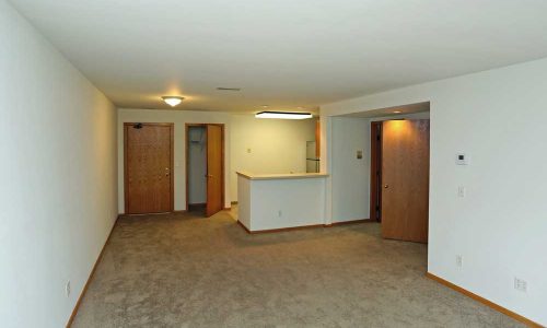 Empty Carpeted Living Room with Kitchen