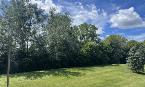 oj96gDRYXjmVdAbimnpw1nZAFnooO6zFJw-scaled